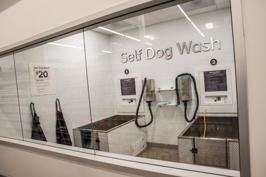 Everything You Need to Know About Self-Serve Dog Wash Stations