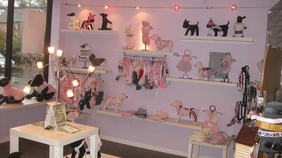 Looking for a Pet Boutique Near Ocala, FL? Here’s What to Know