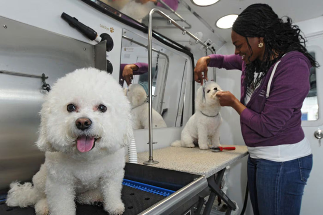 Why Consider Mobile Grooming in Marion County?