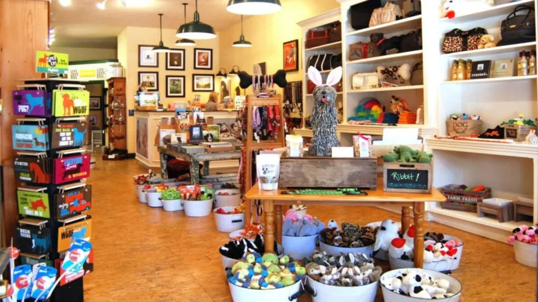 Why Local Pet Boutiques Are Better Than Big Chain Stores?