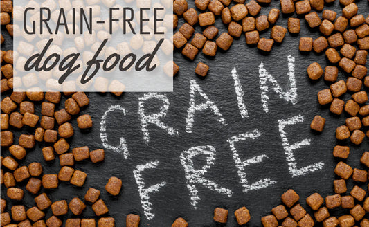 Understanding Grain‑Free Dog Food: Pros, Cons, and Myths