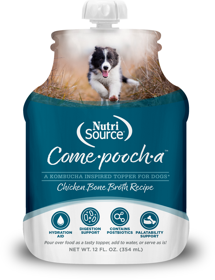 NUTRISOURCE COME-A-POOCH-BROTH-TOPPER 12OZ