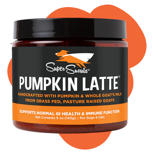 SUPER SNOUTS PUMPKIN LATTE