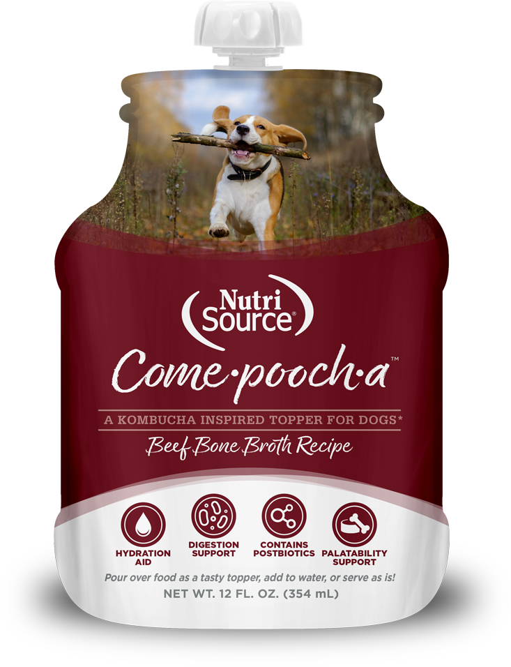NUTRISOURCE COME-A-POOCH-BROTH-TOPPER 12OZ