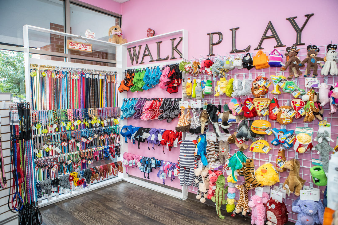 Are Local Dog Food Stores in Ocala Better Than Online Options?