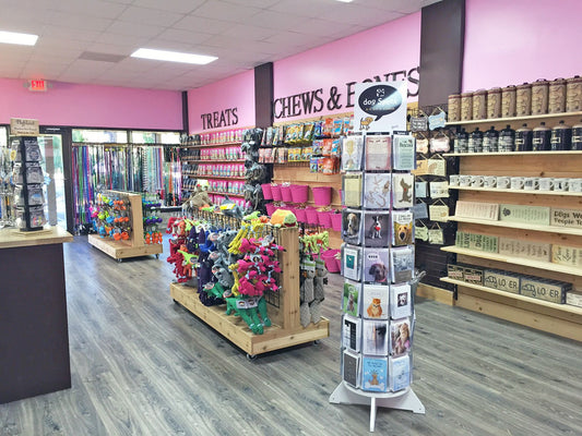 How Is a Boutique Pet Store in Ocala Different from Big Retail Chains?