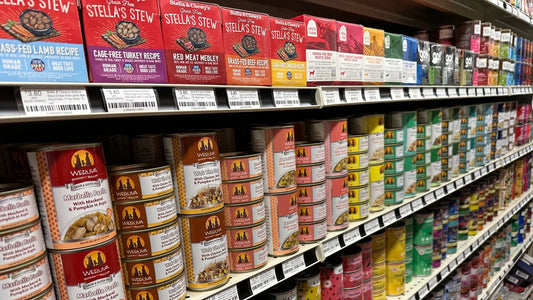 How Can Premium Dog Food Improve Your Dog’s Health Long-Term?