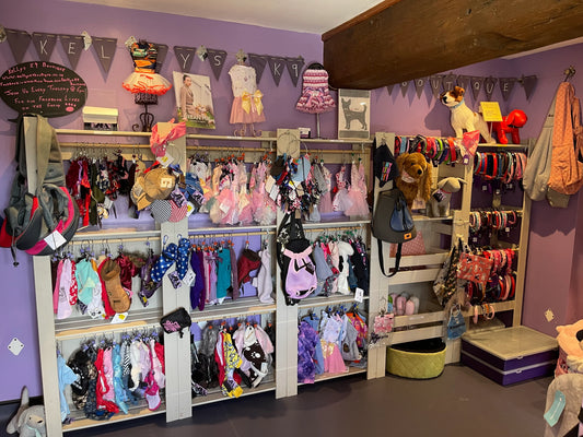 What Makes a Pet Boutique Truly Premium? Look for These 5 Signs