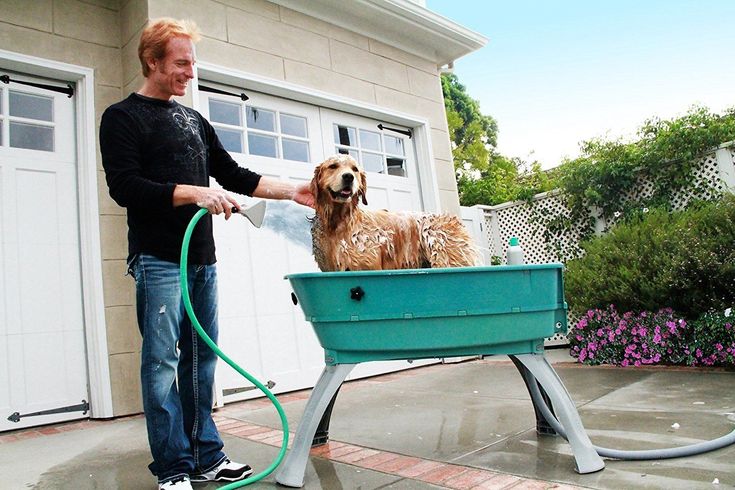 Is a Self-Wash Dog Station Better Than Professional Grooming?