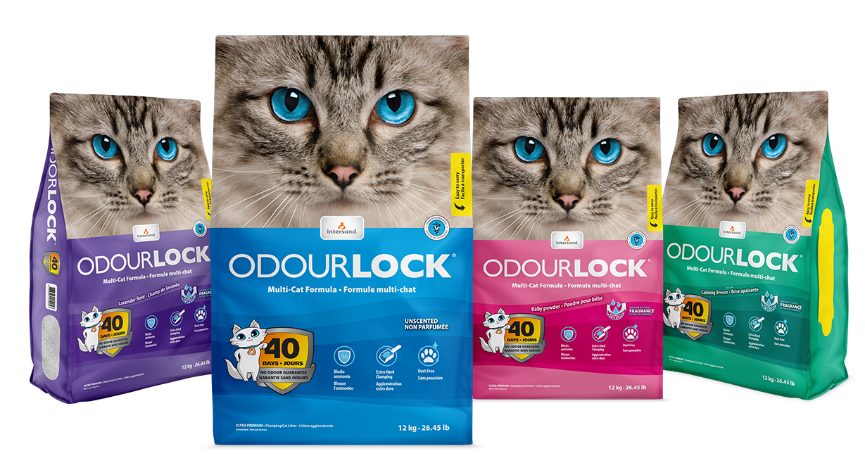 ODOURLOCK CAT LITTER