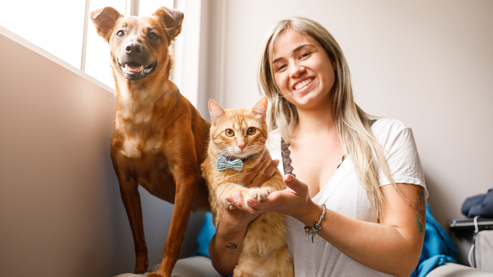 Pet Sitting